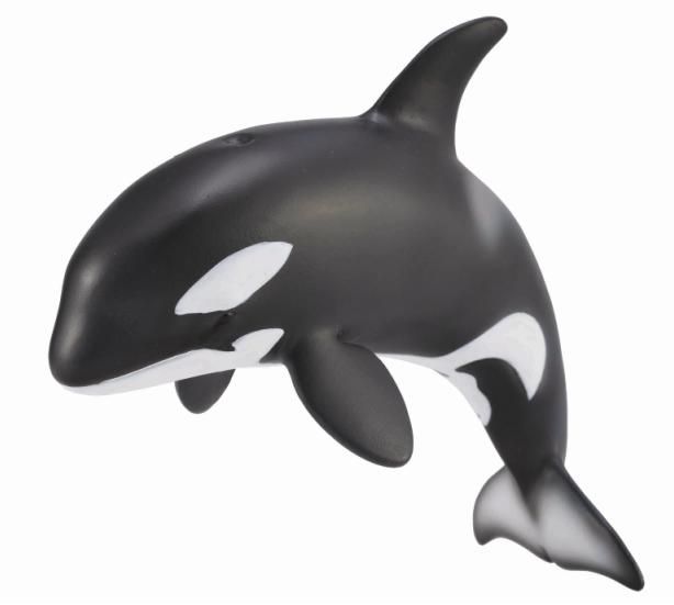 COLLECTA - Gyilkos bálna