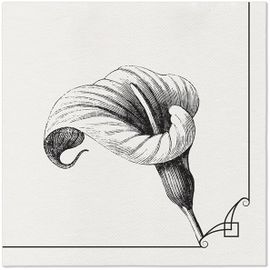 PAW – Törlőkendő AIRLAID 40x40 cm - Memory flower