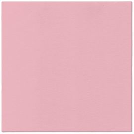 PAW – Törlőkendő AIRLAID 40x40 cm Monocolor (rosar)