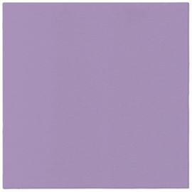 PAW – Törlőkendő AIRLAID 40x40 cm Monocolor Violet