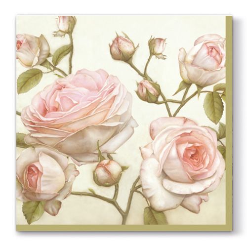 PAW – Törlőkendő L 33x33cm Beauty Roses