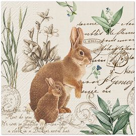PAW – Törlőkendő L 33x33cm Mystery Bunny